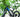 Ride Green, Live Clean—How the Feihu 750W Supports a Sustainable Lifestyle
