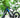 Ride Green, Live Clean—How the Feihu 750W Supports a Sustainable Lifestyle