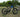 Fat Tire eBike