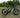 Fat Tire eBike