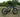 Designed for Everyday Life—The Feihu 750W Makes Riding Effortless