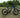 Designed for Everyday Life—The Feihu 750W Makes Riding Effortless