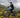 Conquer Any Terrain with the Feihu 750W Fat Tire eMTB