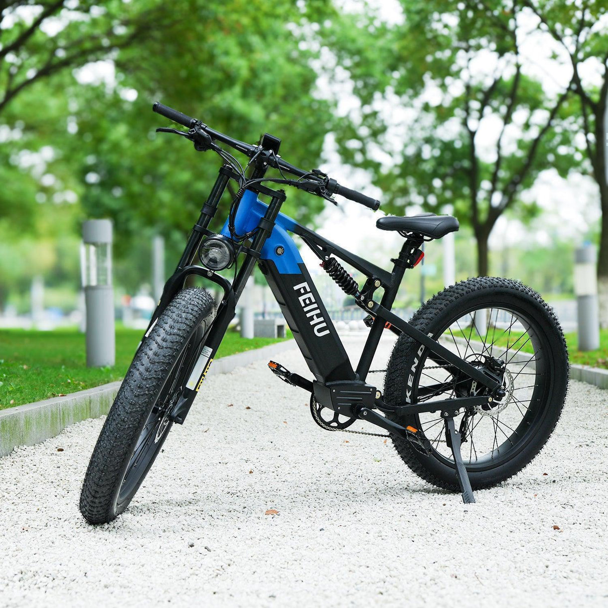 Feihu 750W 30 MPH Electric Mountain Bike with 48V 20Ah Removable Battery